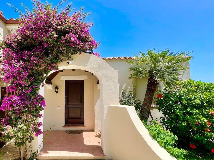 Hibiscus Villa