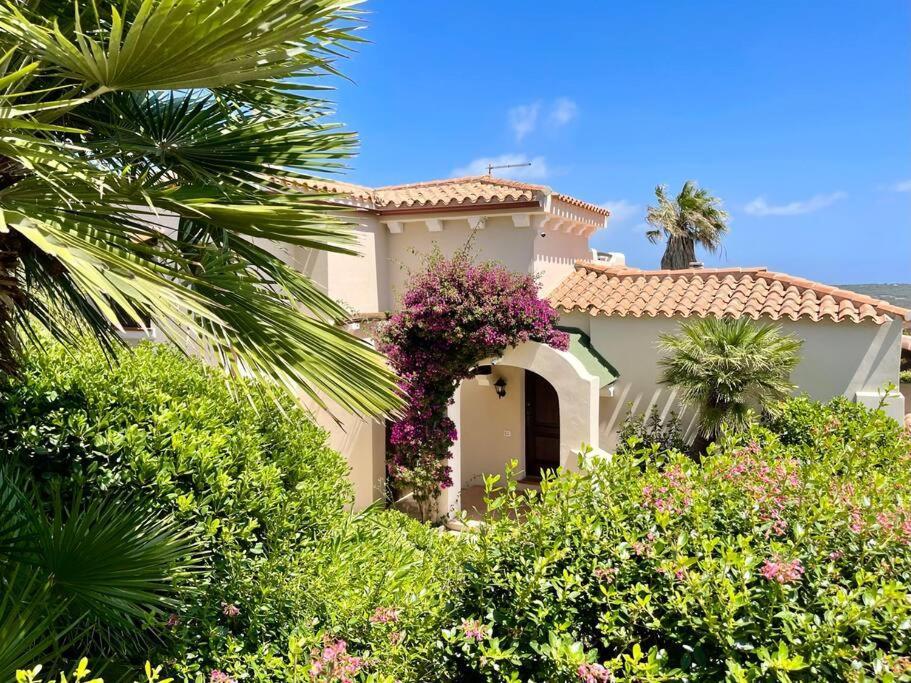 Hibiscus Villa Stintino